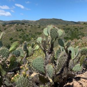 Meet your Posher, Leslie